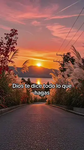 #sidioscontigoquiencontrati  #agradecida #reflexion #lapromesa #diosesamor #diosteama #notemas  #diostebendiga 🙏🏼