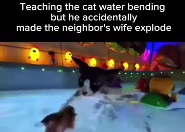 Explosive powers kitty… #cat #meme #memes #cats #catsoftiktok #funny #funnyvideos #fyp #sillycat 