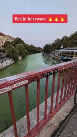 Berlin heatwave 09.08.25 #berlin #kreuzberg #heatwave #algae #canal #weather #hot #green #matcha 
