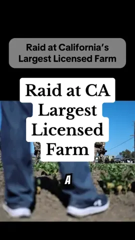 Raid at California’s Largest Licensed Farm Federal agents stormed two state-licensed farms in Ventura County, arresting 360 workers and launching investigations into child labor and trafficking. Was this enforcement — or overreach?  #ICEBriefing #ImmigrationNews #ICEraids #ImmigrationLaw 