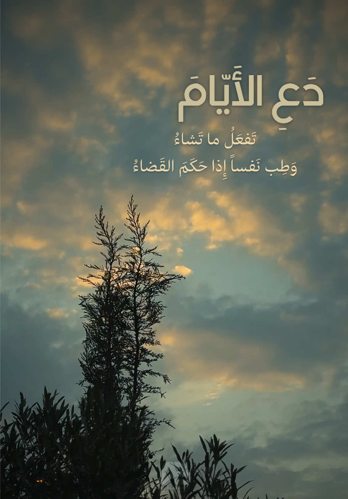 #دع_الايام_تفعل_ما_تشاء #الشافعي#foryou #fyp #explore 