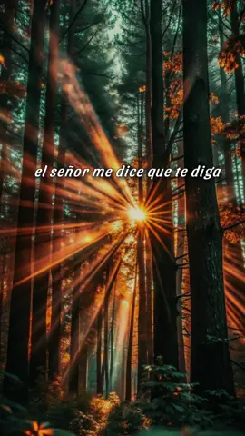 #CapCut #Dios #reydereyesseñordeseñores #teamodios #graciasporsuapoyo❣️ #cristoviene ##amen #amen🙏 #buenosdiasporlamañana💞graciasadios🙏♥️ #reydereyes 