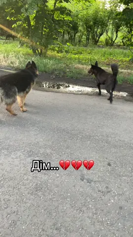 Як же хочеться додому…💔#дім#фронт #війна 