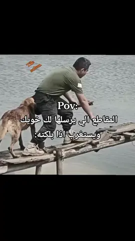 #ريكشانات_sultan 