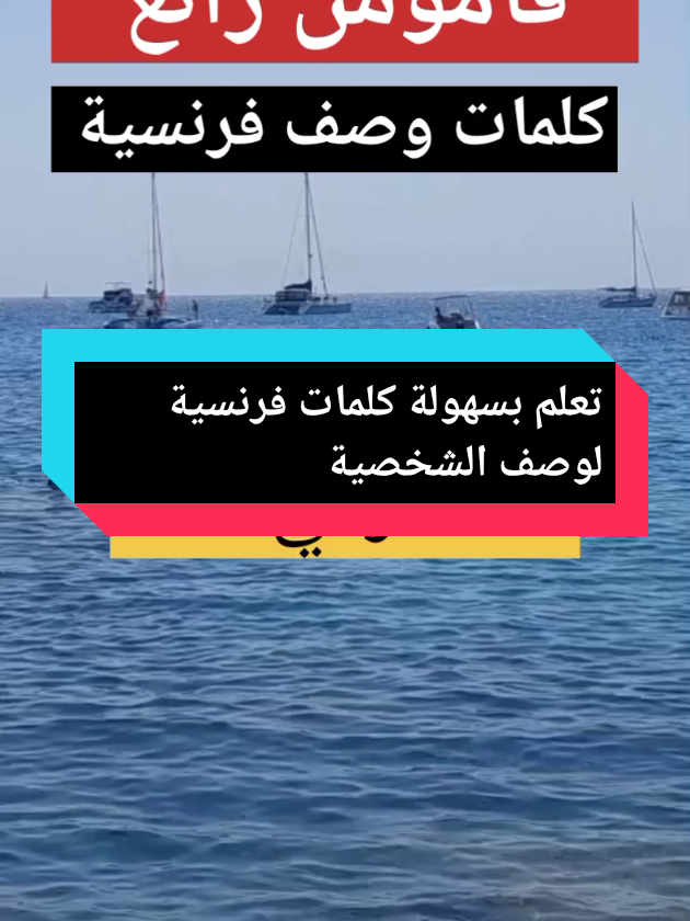 تعلم بسهولة كلمات فرنسية لوصف الشخصية #françaisfacile  #apprendrelefrançais  #تعلم_اللغة_الفرنسية #parlerfrancais  #coursdefrançais #francais #apprendrelefrançaisensamusant #algerie🇩🇿   #débutantfrançais #francaispouralgeriens #pourtoi   #foryoupage❤️❤️ #viralvideos   #tiktokviral  #tendances 
