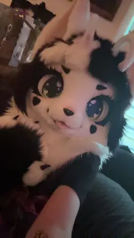 so kawaii #furry #furryfandom #kemono #fyp #xyzbca 