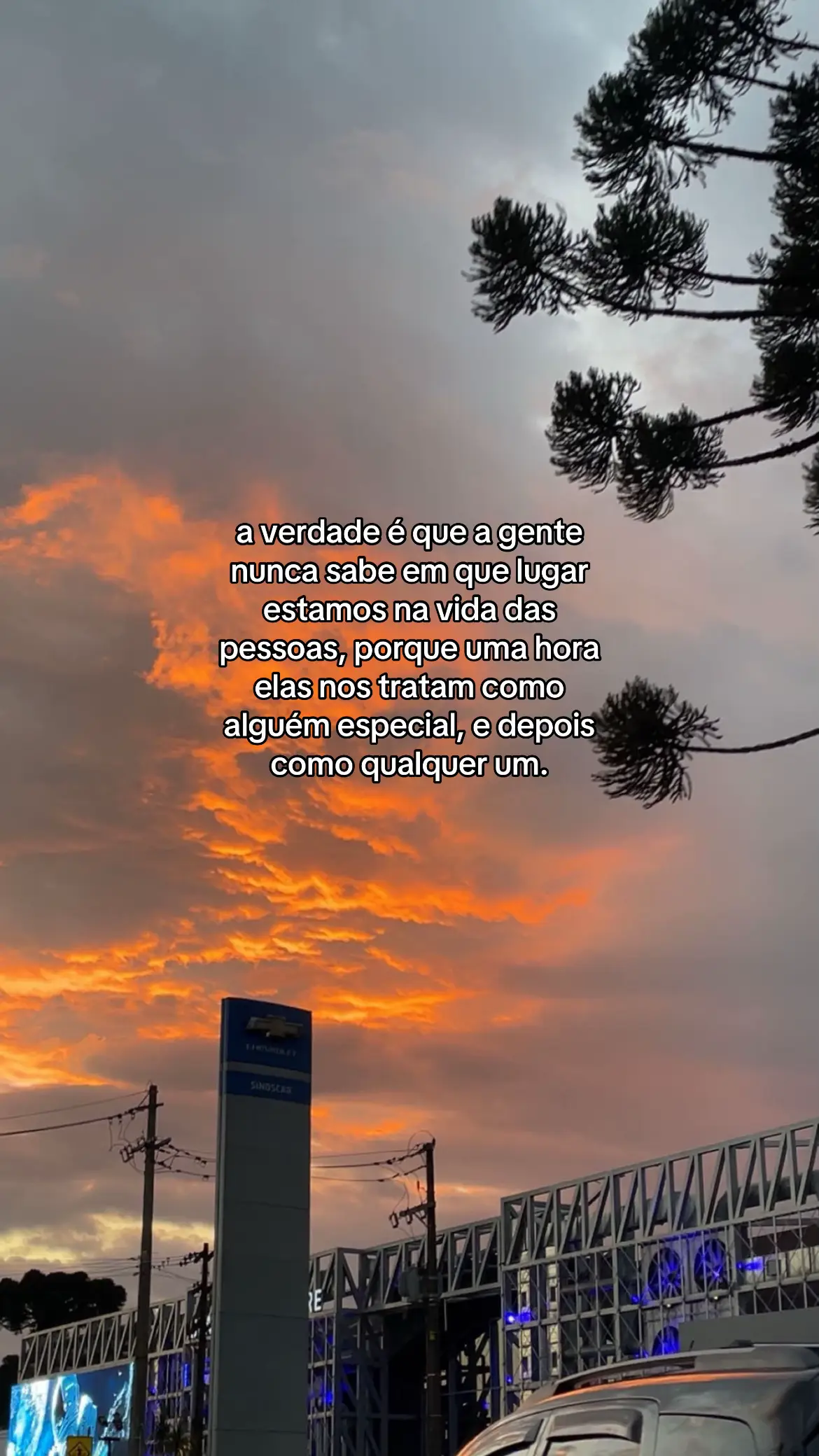 #frase #pravoce #fyyyyyyy 