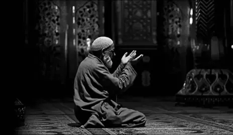 #قران_كريم 