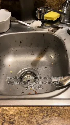 Roaches ALWAYS come back into the sink and counter wether it’s cleaned or not, there’s nothing much i can do about it anymore because for the last couple of days i’ve spent cleaning and making sure they can’t get food everyone else here keeps leaving food and trash everywhere ): i’ve placed traps, powder, raid, borax etc.. The kitchen may be cleaner than before but the malnourishment and abuse of the house will always stay the same. #roaches #trendingsound #trend #viral #fyp #CleanTok #LoveIsland