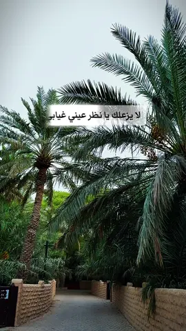 #ماله_حل_الشعب_الصيني❤️❤️❤️❤️🇴🇲🇴🇲🇴🇲 