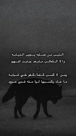 ومن لا كسب كلمة كفو في شبابه . #explore #foryou #foryoupage #fyppppppppppppppppppppppp 