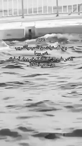 قصة حب وثقة عمياء بحوت الاوركا  تنتهي بموت جيسيكا #غدر #جيسيكا #الاوركا #ثقة_عمياء #fyp #fypシ゚ #viral #viralvideos #foryou #foryoupage #explore #yasser_rma19 