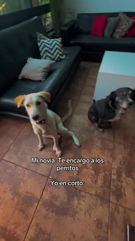 Entrenando a los nenes, que no se les olvide de dónde vienen, de la pura calleeee