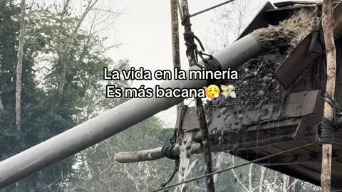 #la #vida #en #la #minería #es más vacAna #mineriapuertomaldonado 