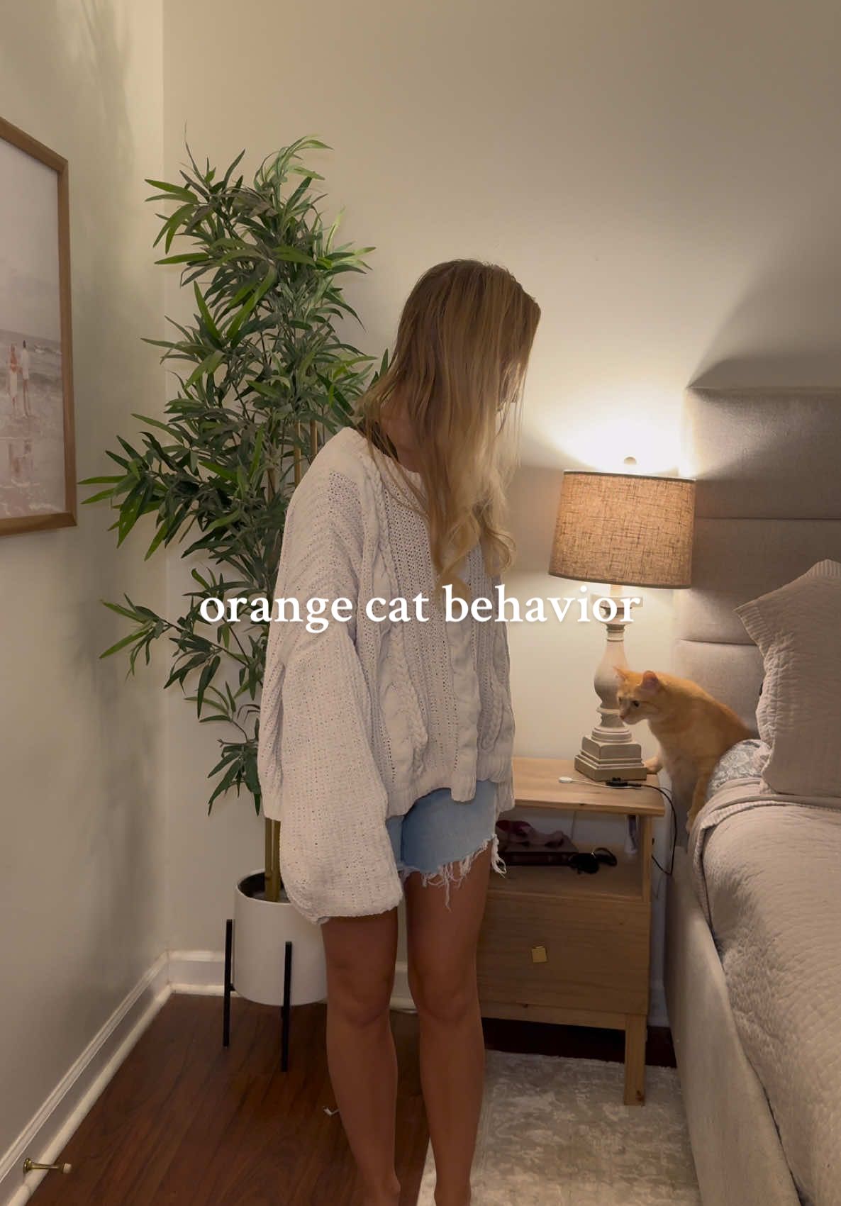 only orange cat parents will understand  . . .  #cat #orangecat #orangecatbehavior #funny #trendingsound #trendingaudio 