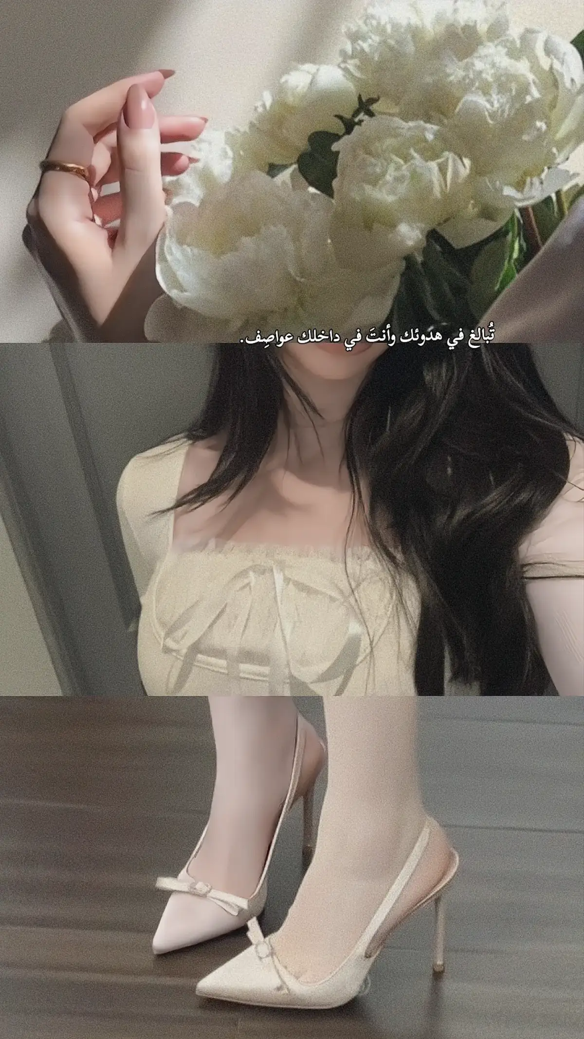 ✨#مالي_خلق_احط_هاشتاقات #song #بدون_هشتاق #الشعب_الصيني_ماله_حل😂😂 #أغاني #حركة_إكسبلور #viral #تصاميم_فيديوهات #song #