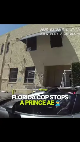 #cops #copsoftiktok 
