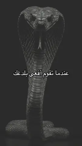 #اقتباسات #اقتباسات📝 #عبرات_جميلة_وقويه😉🖤 #عباراتكم_الفخمه🦋🖤🖇 #خواطر #عباراتكم_الفخمه📿📌تجبرني_انشرها🖤🙂 #حكم #خواطر077 #كلام_من_ذهب #خواطر_للعقول_الراقية #كلام_من_القلب #عباراتكم_الفخمه📿📌 #عبارات #عباراتكم_الفخمه📿📌تجبرني_انشر 