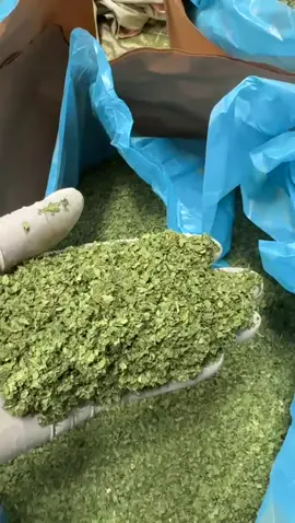 DRIED PARSLEY! is available through our esteemed partner platform in 🇪🇬 Egypt. This versatile herb finds application in both culinary and medicinal fields. We invite you to contact us for a competitive offer! Galas Global Exports  Galasglobal.com #importexport  #wholesalers  #vendors  #buyers  #exporters  #importers  #merchantservices #suppliers #dealers  #suppliers #merchants #warehouses #chefs
