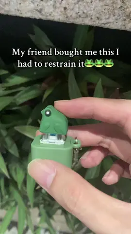 This frog cured me of boredom…#f#fidgettoysg#giftideasg#giftt#toysn#ninjak#keychaind#duckq#quackf#funnyt#tiktokshopf#foryouducktoy #olebrandselect #frog 