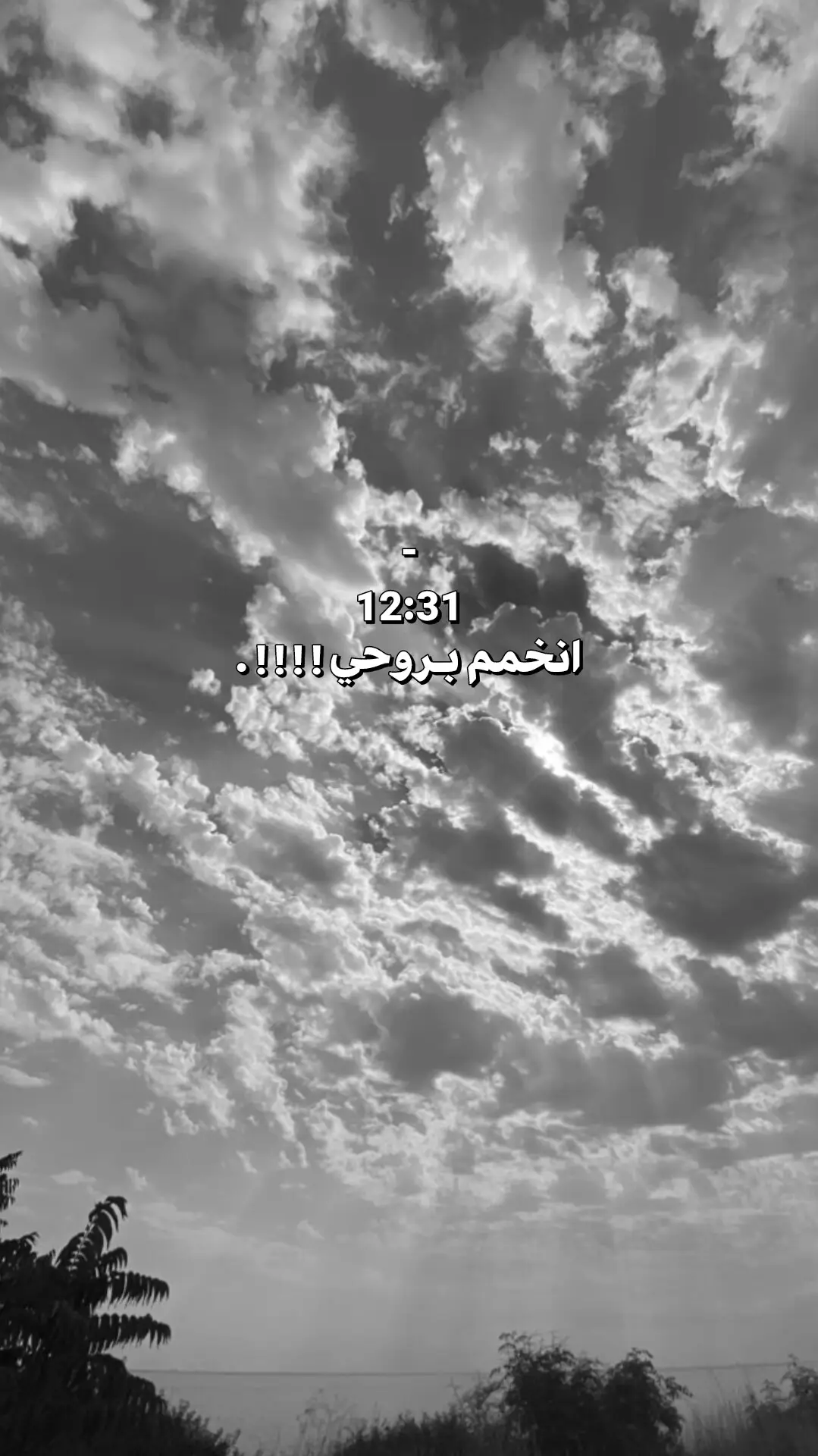 #حمادي_الدرسي🤴🏻 #البيضاء_الجبل_الاخضر_مصر_طبرق #درنه_بنغازي_البيضاء_طبرق_ليبيا #بنغازي_طرابلس_ترهونه_رجمة_سرت_طبرق #شتاوي #شتاوي_وغناوي_علم_ع_الفاهق❤🔥 #اجدابيا_بنغازي_البيضاء_طبرق_ليبيا🔥❤️ #ليبيا_طرابلس_مصر_تونس_المغرب_الخليج 