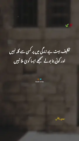 میرے برے وقت میں میرے اپنوں نے میرا ساتھ نہیں دیا غير تو پھر بھی غير تھے🥀 #foryoupageofficiall #shayri #poetry #Sعdiرائیٹس 