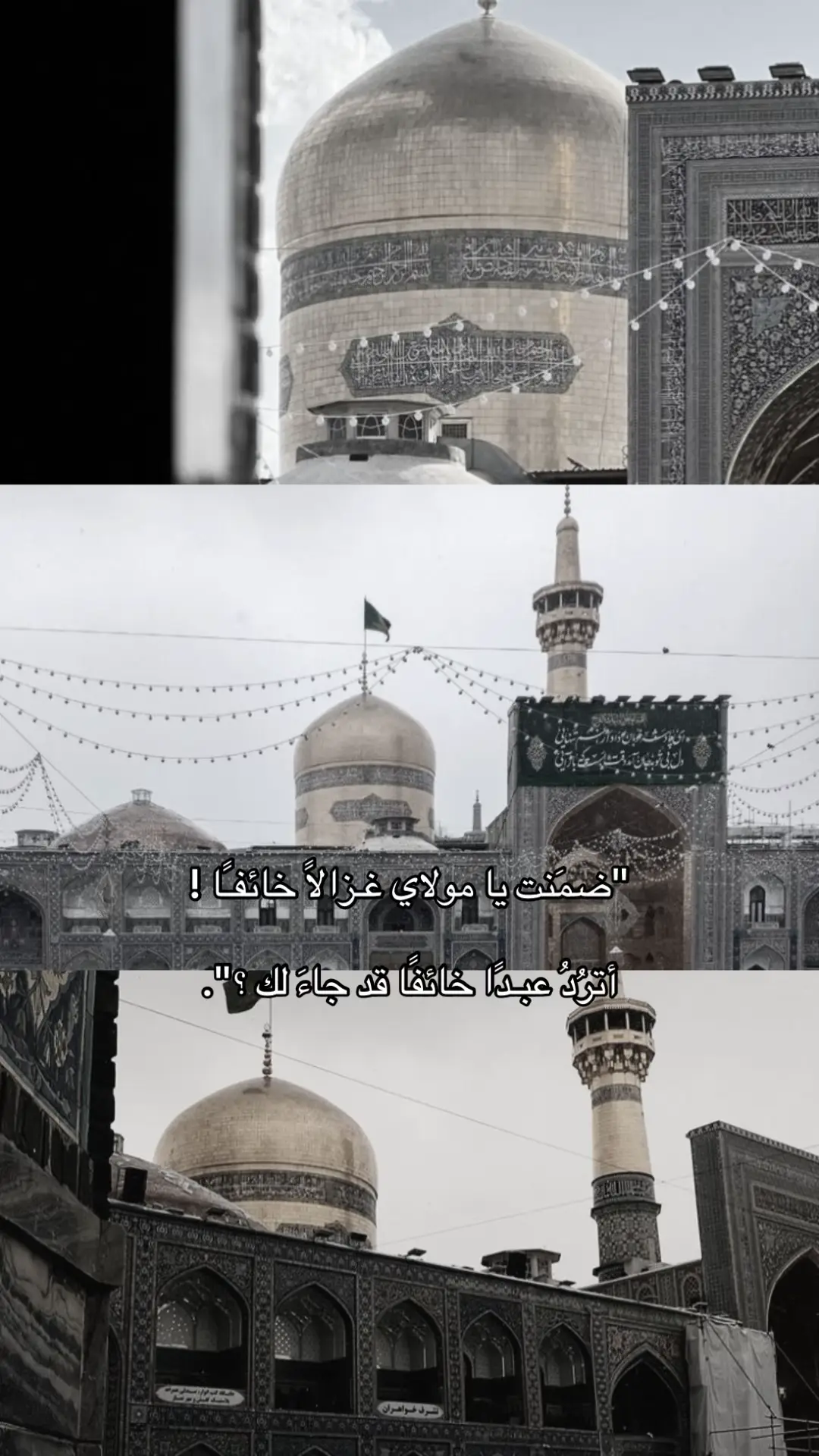 #الامام_الرضا_عليه_السلام #مشهد #انيس_النفوس #غريب_طوس #الشيعة 