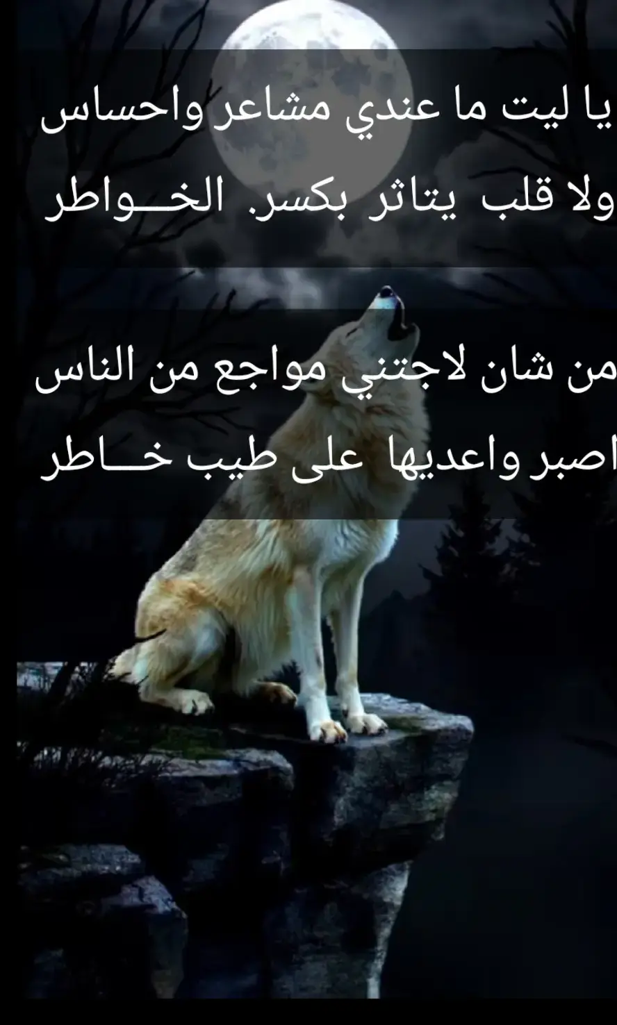 #الحجاج🇾🇪 