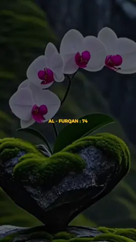 Q.S Al Furqon ayat 74 m #murotalquran#quran#doa#merdu#fyp 