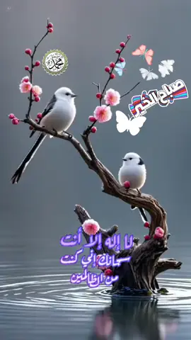 #الا_بذكر_الله_تطمئن_القلوب  #صباحكم_معطر_بذكر_الله💚🌹🌿🌷😍🌸🙏  #القران_الكريم_راحه_نفسية😍🕋  #اللهم_صل_على_محمد_وآل_محمد  #بسم_الله_ماشاء_الله♥️🧿  #الكربلائيه #👈❤️ #اكسبلور  #hashtag #اكسبلورexplore 