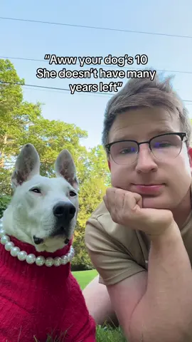 Like she’s immortal ok??? #dogs #seniordog #rescuedog #old #eldery #agiest #comedy 