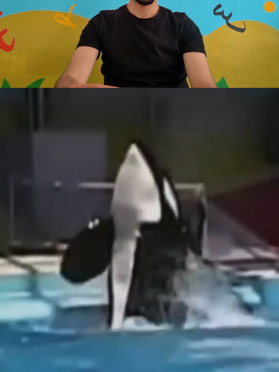 Orca 💔😢 #orca #orcas #trendingg #orcashow #tranding #treanding 