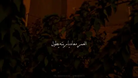 العمر معاه ياريته يطوووول🫶🏻❤️#foryou #no_music #حسين_الجسمي #اغاني_بدون_موسيقى #Love 