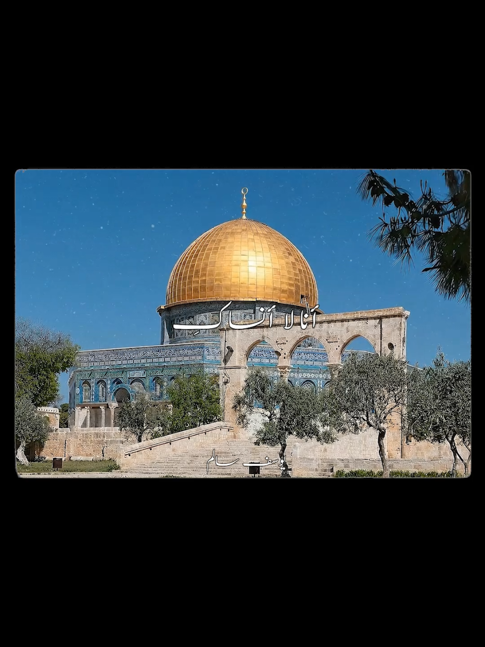 أنا في أفيائكِ نسرين أنا زهر الشوك أنا الورد🫒🌷 . #foryou #fyp #viral #فيروز #فيروزيات #foryoupage #palestine 