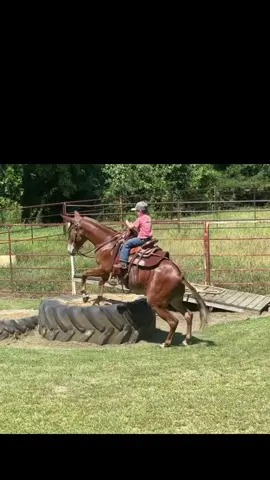 Sweet little mule boy on his B and paw paws baby ❤️ #cowboy #mule #fy @Brenda Strickland 