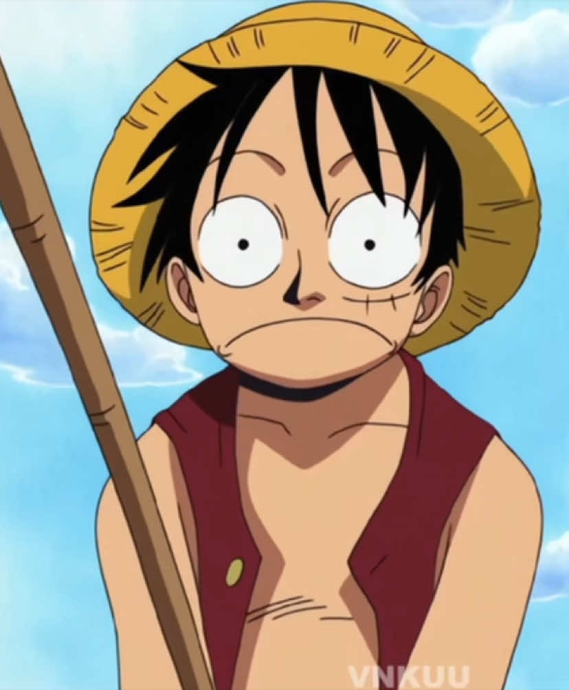 ITS MY BIRTHDAY 🥹 SO I HAD TO MIX MY TWO FAVES!! spongebob and pre time skip one piece 😜 it’s kind of lazy but i love it ☺️ #onepiece #onepieceedit #anime #fyp #viral #monkeydluffy #animetiktok 