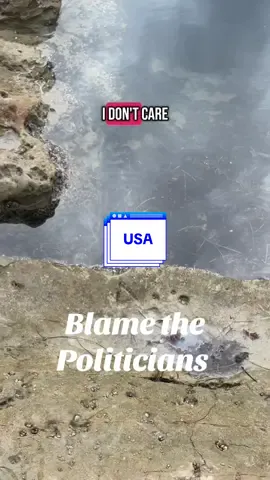 Blame the politicians their policies for decades got us here #immigrants #politicians #politics 