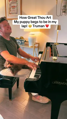 Truman tbe puppy y’all! #goldendoodle #puppy #puppiesoftiktok #fypシ゚viral 