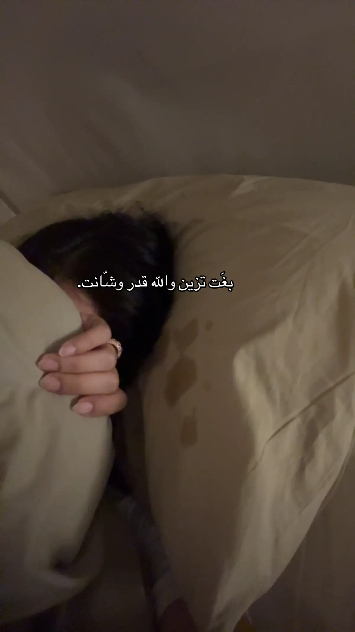 #اكسبلورexplore 