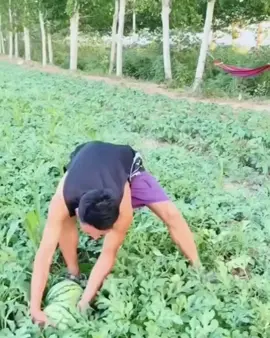 😆  #funnyvideos #viral #fyp #100kviews #funny 