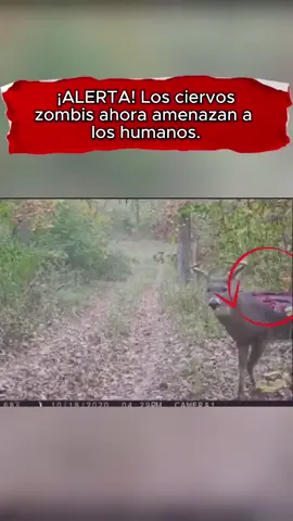#eua #usa #LearnOnTikTok #breakingnews  #news #truestory 