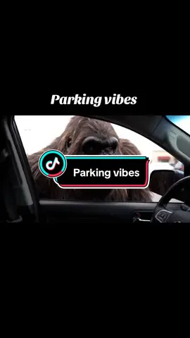#parking, #cars, #bigfoot, #clips, #laugh, #jokes, #laugh, #laughter, #movie, #fun, #funny, #funnyvideos, #funnyvideo