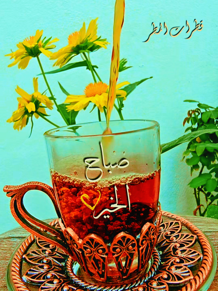 صباح الخير 🤍 #صباح_الخير #صباحكم_أحلى_صباح #صباحكم_معطر_بذكر_الله #صباح_السعادة_والرضا #صباح_الخير #صباح_الورد #تصاميم_صباحيات#شاي_الصباح #روقان #صباح_الروقان #صباحكم #صبحكم_الله_بالخير_والعافيه #صباحيات #دعاء_الصباح #صباحكم_جميل #صباحكم #اكسبلور #استوريات #استوريات_انستا_واتساب #طائر_لصباح  #اكسبلوووور #فوريو #اكسبلوررررررررر #لايك_فولو #فوريو #اكسبلورررررررررررررررررررر #لايك #السعودية #السعوديه_الرياض_جده_الشرقيه_ابها_مكه #الرياض_جده_مكه_الدمام_المدينه #السعودية_الكويت_مصر_العراق_لبنان #ترند_تيك_توك #ترندات_تيك_توك #جده_الكويت_مكه_ينبع #الرياض_جده_مكه_الدمام_المدينه #ترند #ترندات#الاحد  #explore #explorer #foryou #fyp #foryoupage #فوريو_foryo #fyppppppppppppppppppppppp #goodmorning #fyp #foryoupage #لايكexplore #like #saudiarabia#saudiarabia🇸🇦 