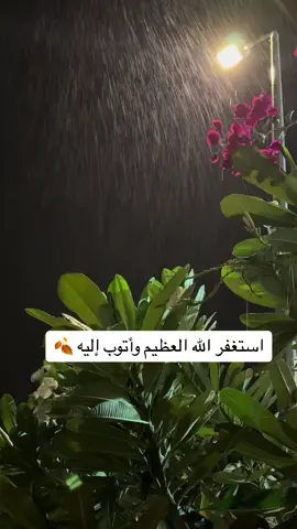 اللهم إني أودعتّ أبي حبيبي في رحمتك وأعلم أن رحمتك به أوسع مما يتوارد في ذهني اللهم وسع مرقده وأنِر ظلمته وأجعل قبره روضة من رياض الجنة وجميع موتانا وموتى المسلمين 🥺💔💔💔. #explore #foryou #quran 