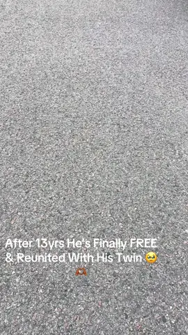 My daughter hasn’t seen her Father in 13yrs…he’s FINALLY HOME !! 