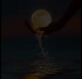 #غريب #𝑴𝑼𝑵𝑰𝑹 