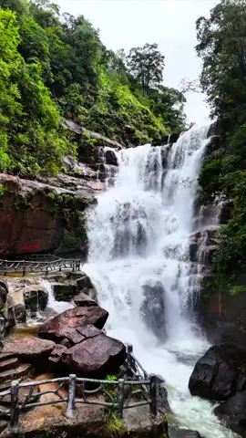 Paraíso nas Nuvens — Um Cenário de Conto de Fadas Um lugar pitoresco, cercado por névoas, um verdadeiro paraíso na Terra. Que lugar mágico é esse? Vídeo original. #ViagemDosSonhos #PaisagensDeTirarOFôlego #ParaísoNaTerra #BelezaNatural #tiktok 