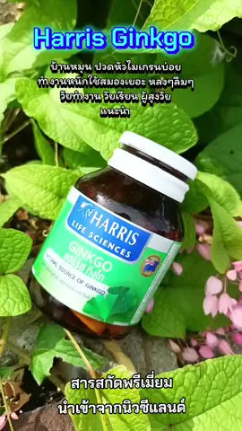 #HarrisGinkgo  #Harris #แฮร์ริสกิงโก  #อาหารเสริมบํารุงสมอง  #ทานดีบอกต่อ 