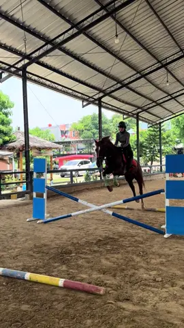 guess what’s wrong?🤪✌️ #equestrian #horsesoftiktok #jumpinghorse #horseriding 