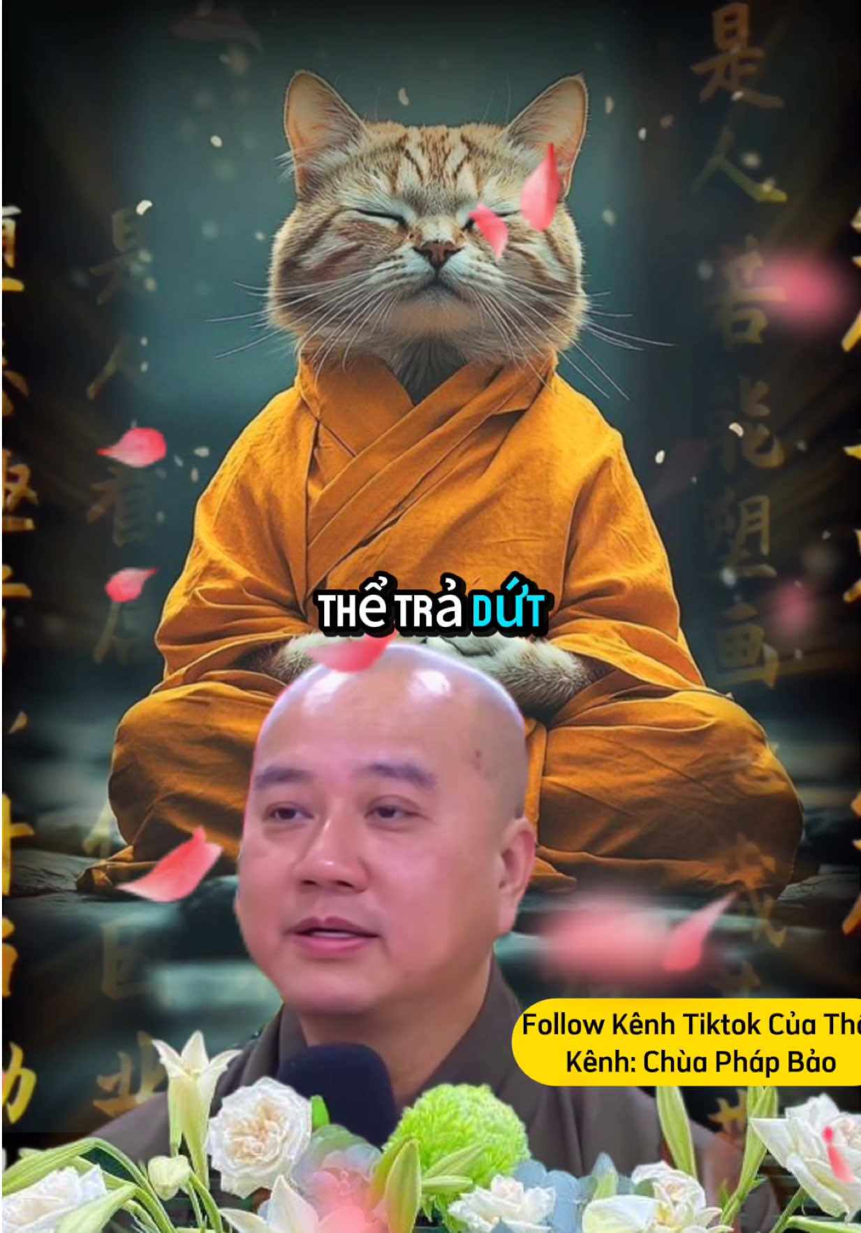 Có phải con tuổi Mão#tuoimao #tuvi #tuongso #tailoc #mayman #thaythichphaphoa #tuviphongthuy #labode #labode12congiap #labodephongthuy 